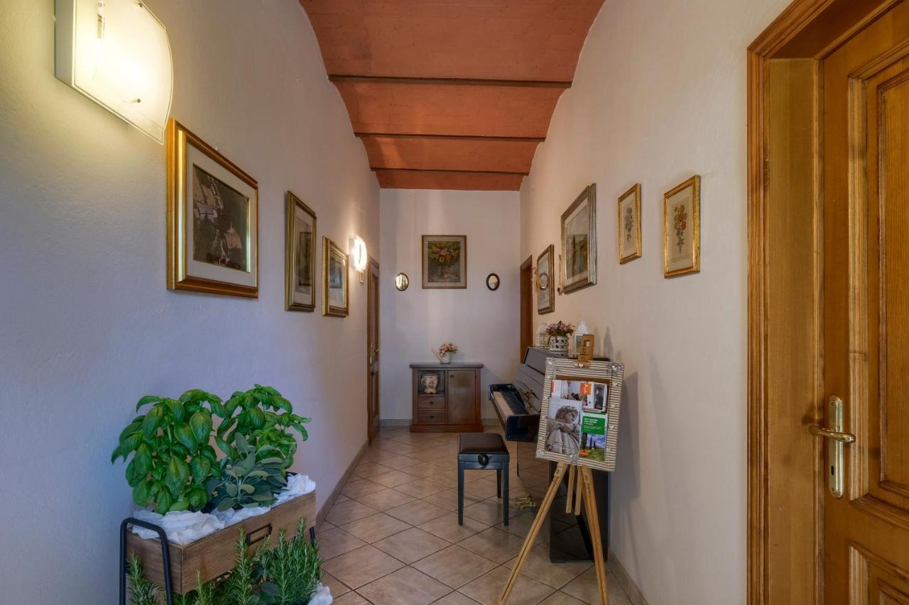 - L'aia Di Trippa All'aria