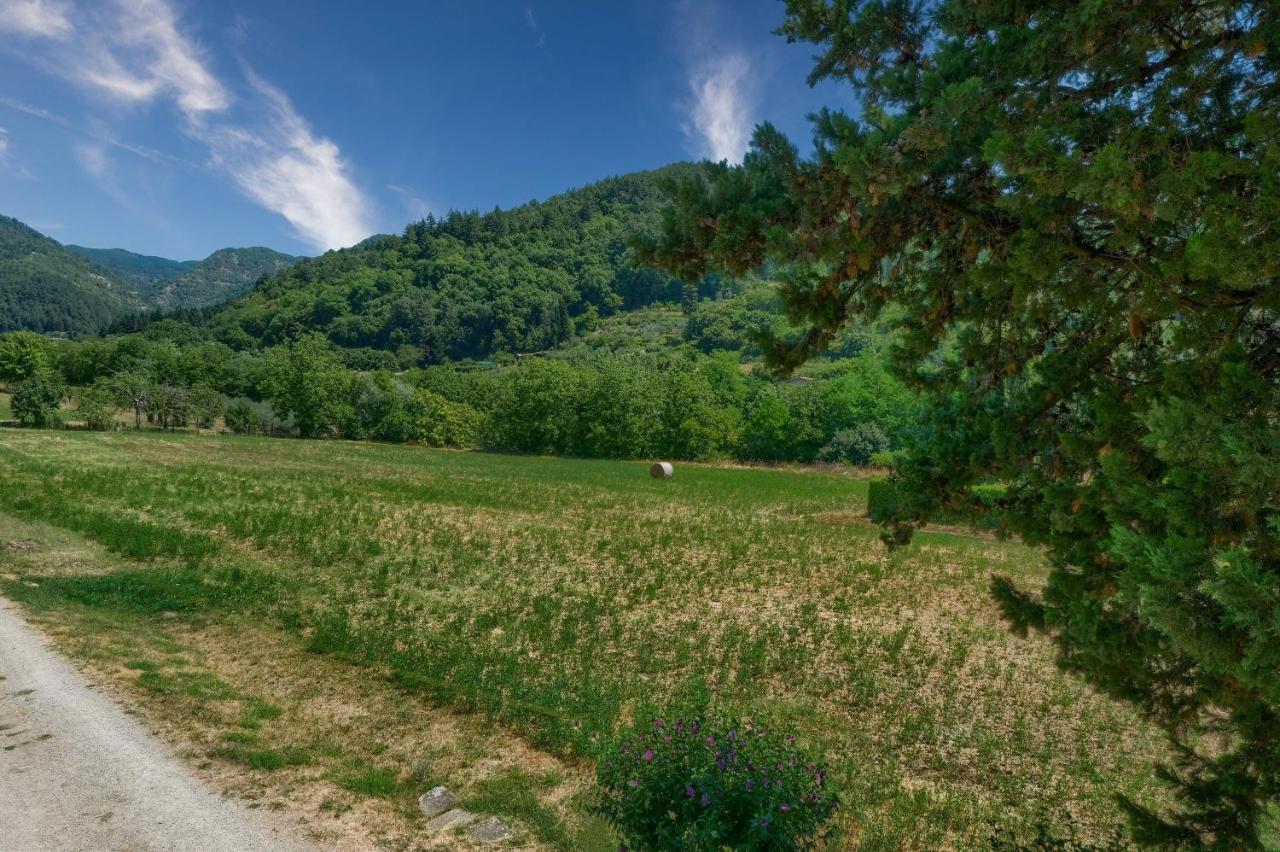 - L'aia Di Trippa All'aria *